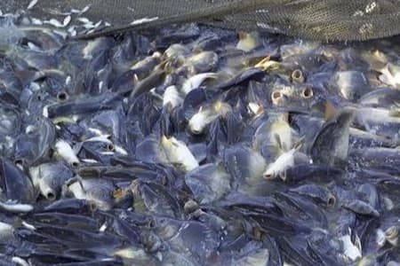 Manajemen Rantai Pasok yang Terintegrasi